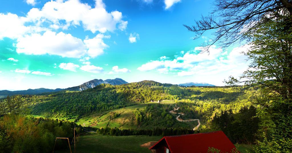 Hotel Piatra Craiului Predeal Extérieur photo